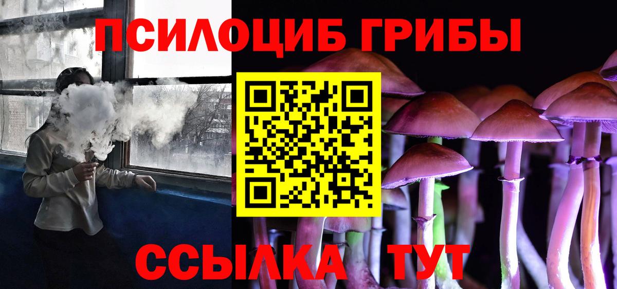Псилоцибиновые грибы Psilocybe  Вход с VPN  Дзержинский 